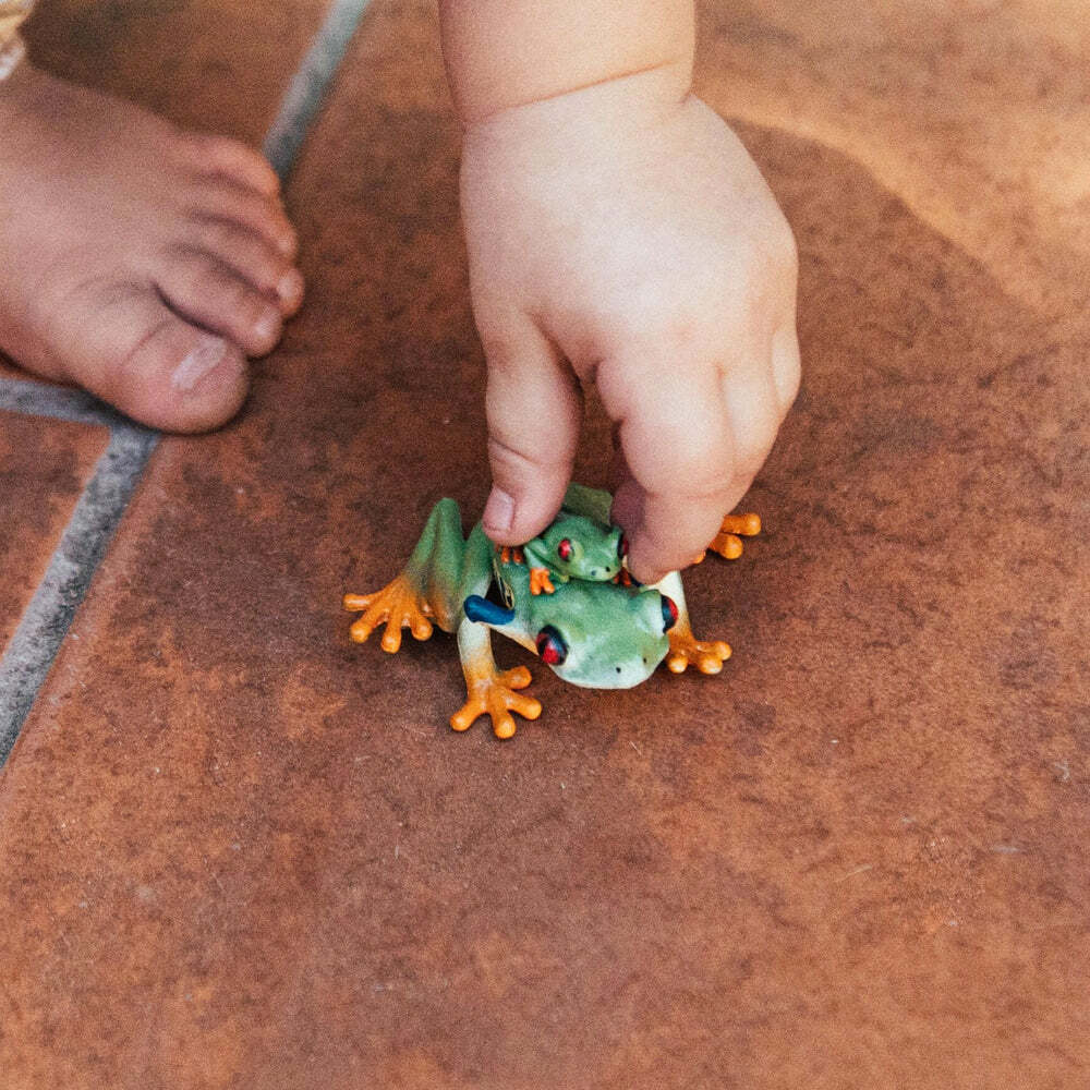 Red-eyed Tree Frog Toy