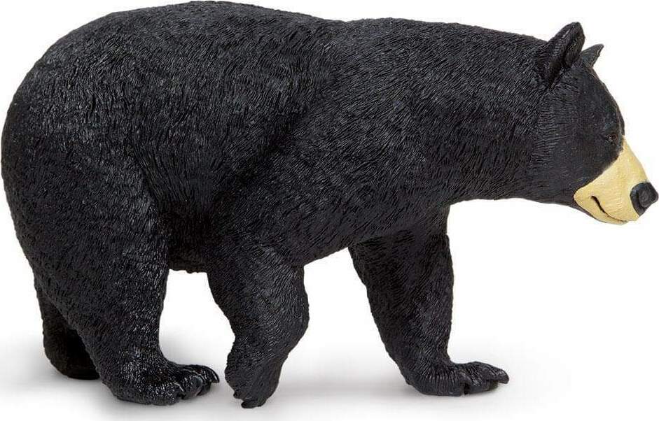 Black Bear Toy