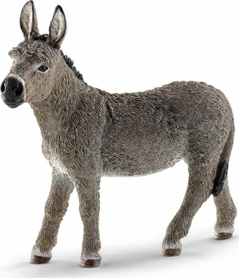 Donkey