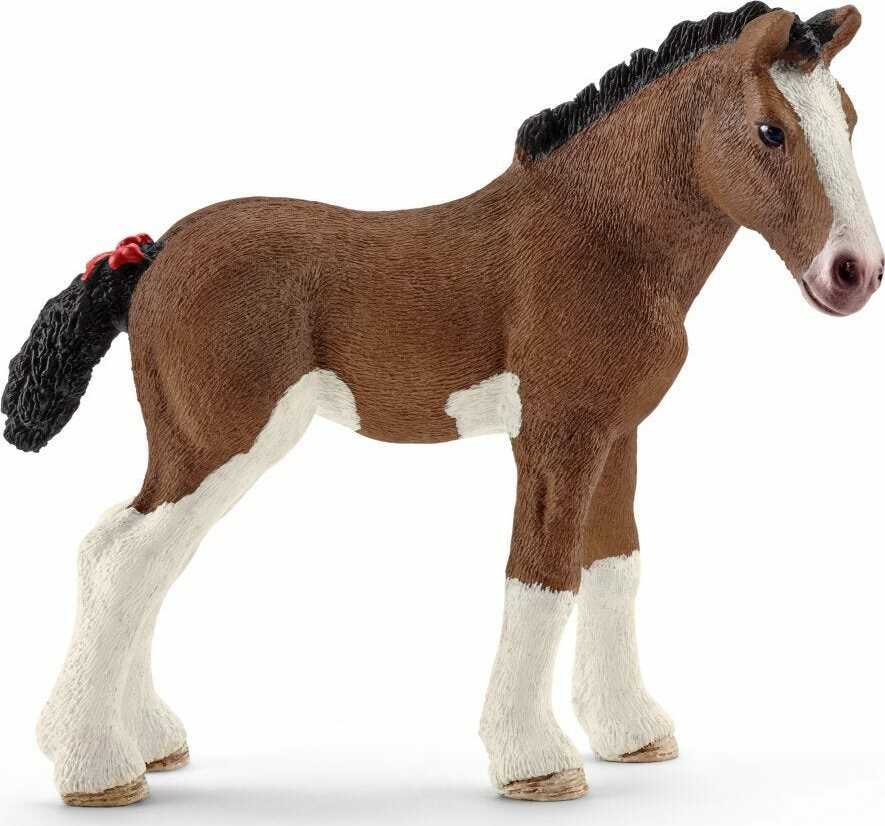 Clydesdale Foal