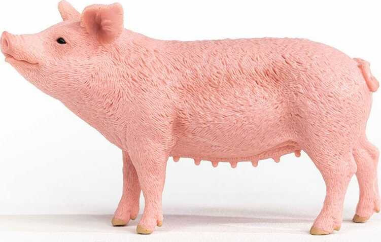 Pig schleich