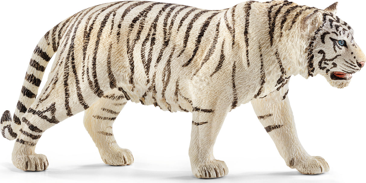 Tiger, White