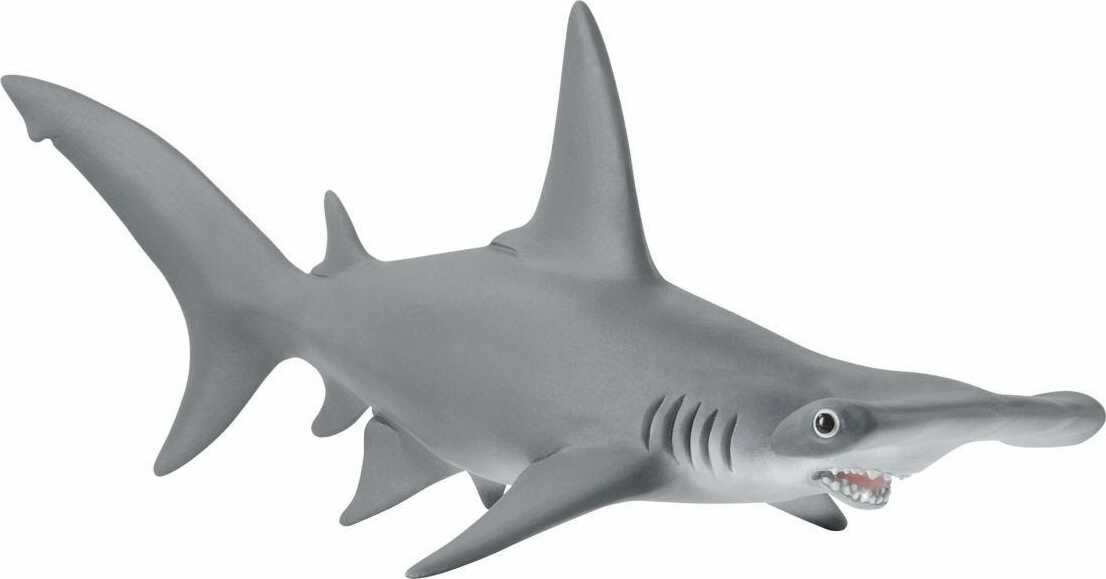 Hammerhead Shark