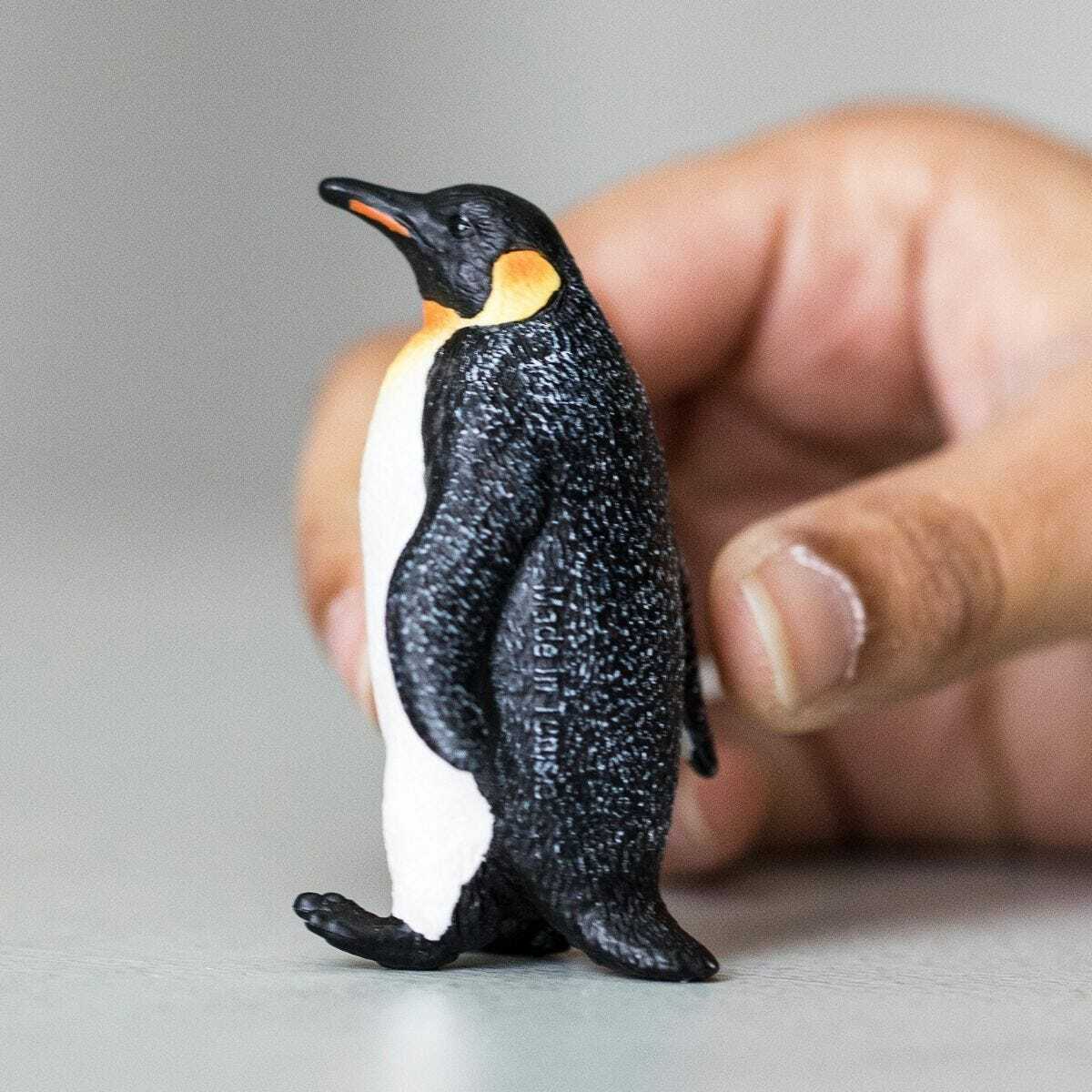 邦楽 Clippers-King penguin/Wicked babylon Screaming killer penguin | SciiFii Wiki | Fandom