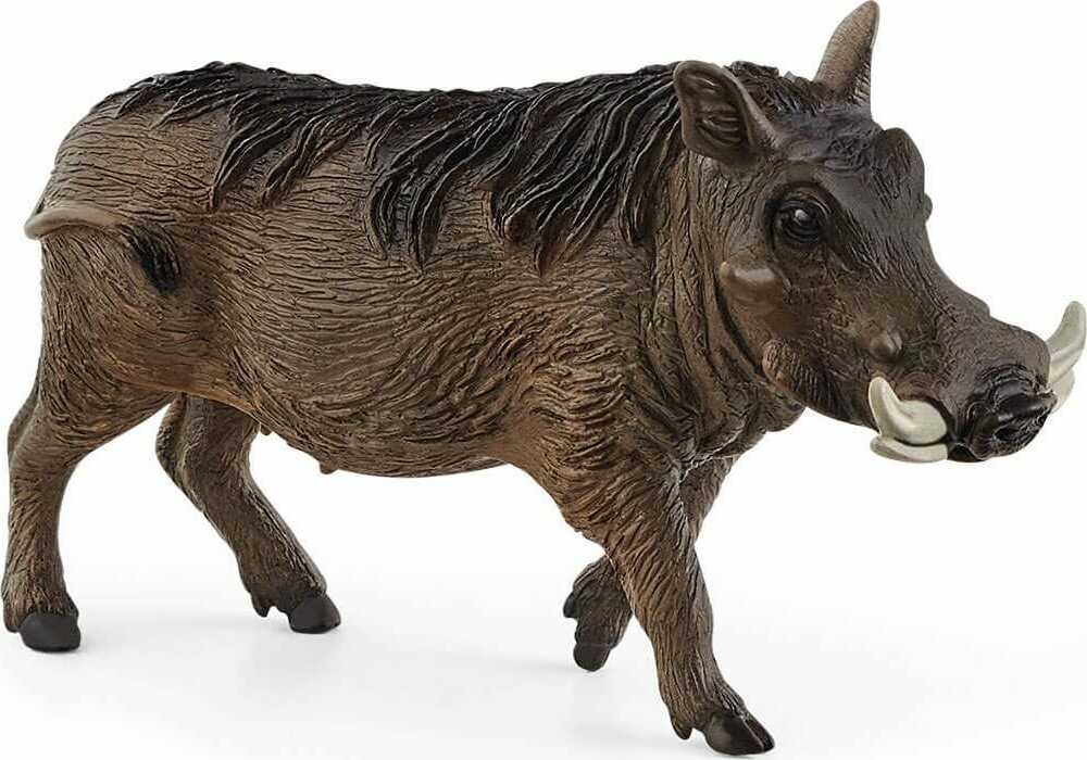 Warthog