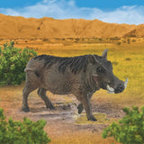 Warthog