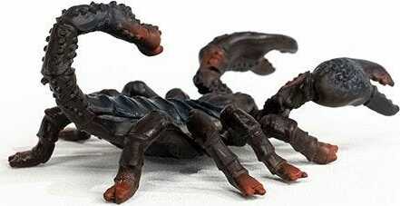 Wild Life Emperor Scorpion