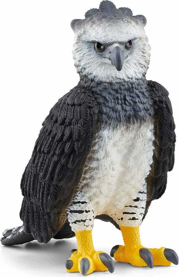 Harpy Eagle