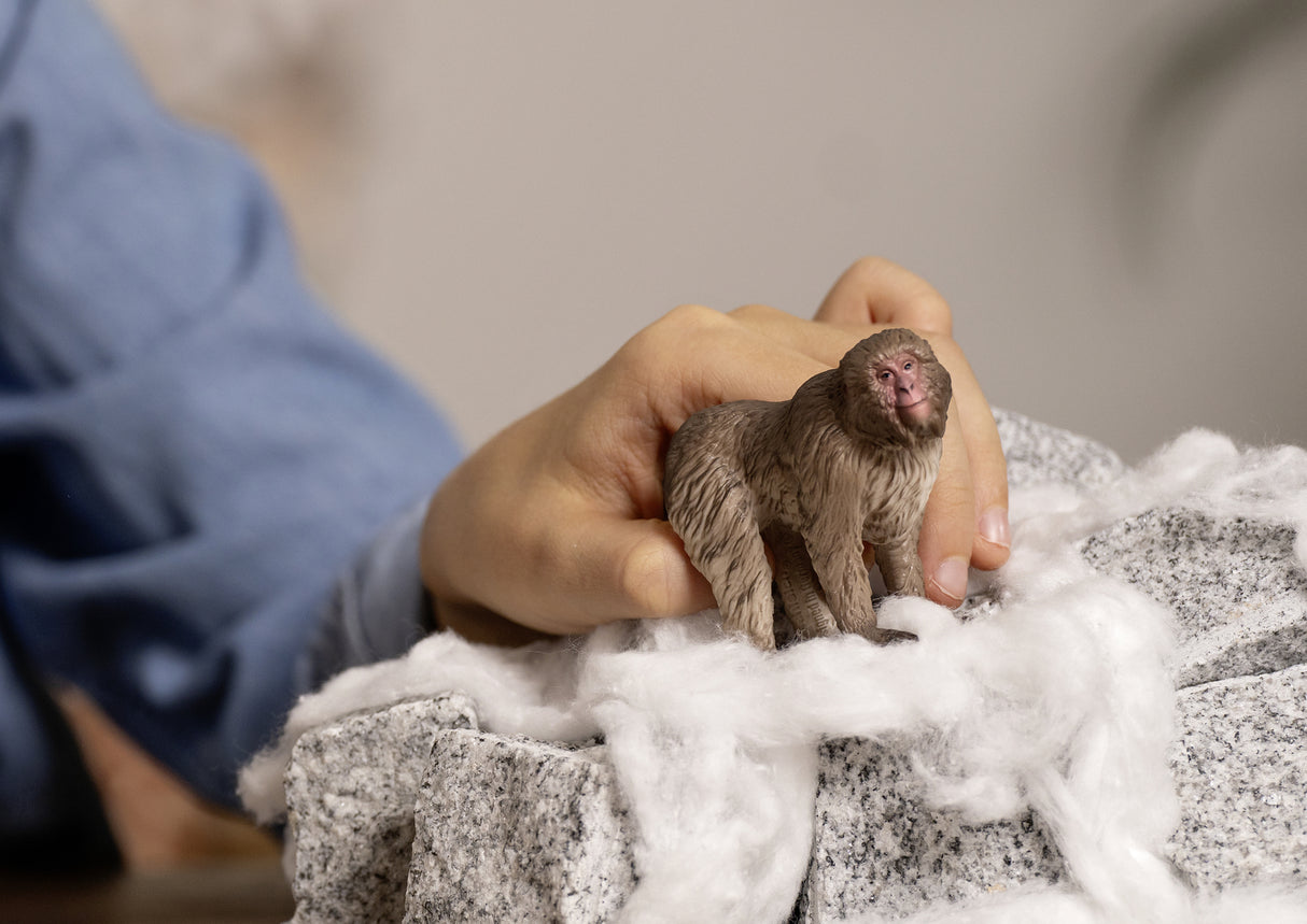 WILD LIFE Japanese Macaque