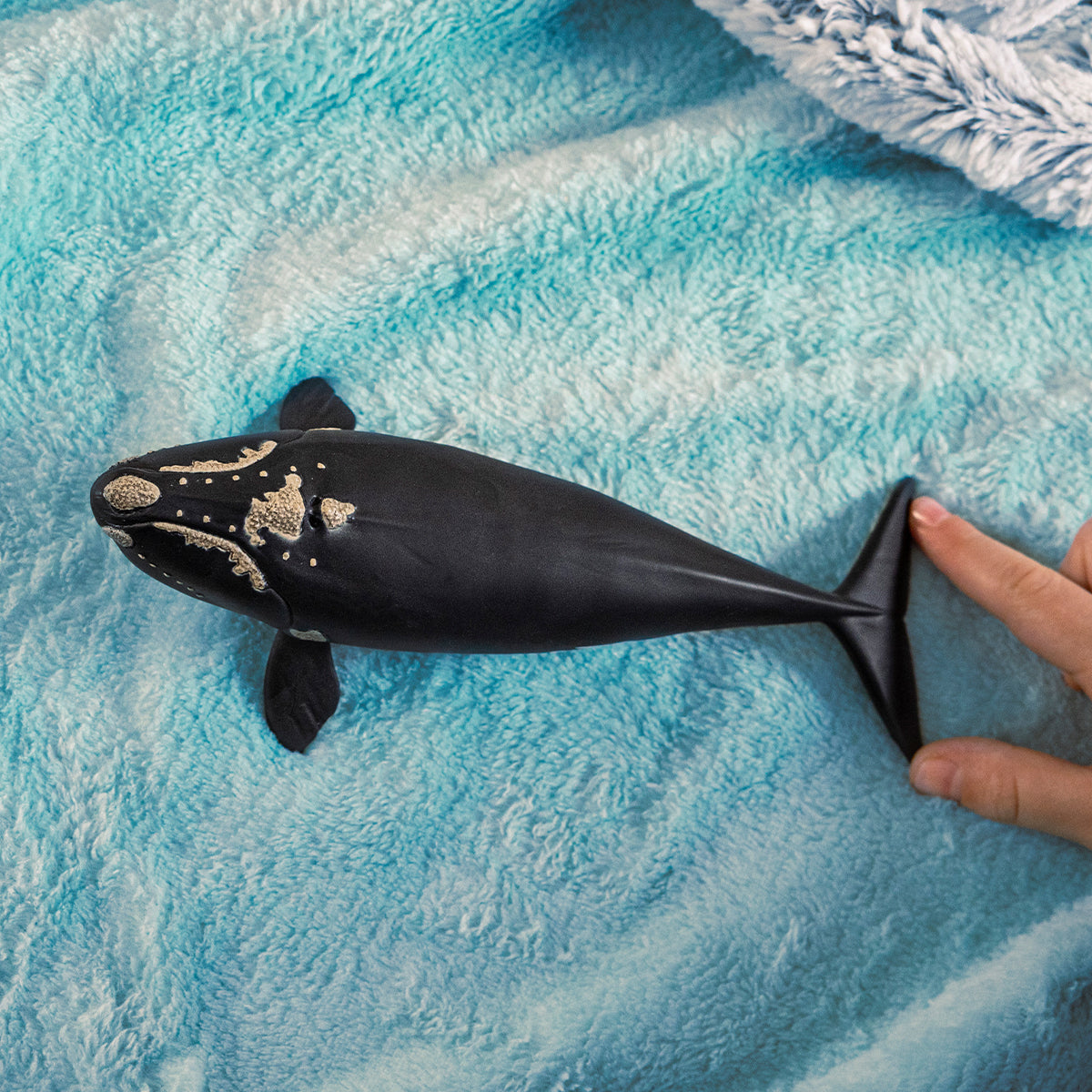 schleich WILD LIFE North Atlantic Right Whale – Dancing Bear Toys
