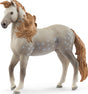 schleich HORSE CLUB Andalusian Stallion