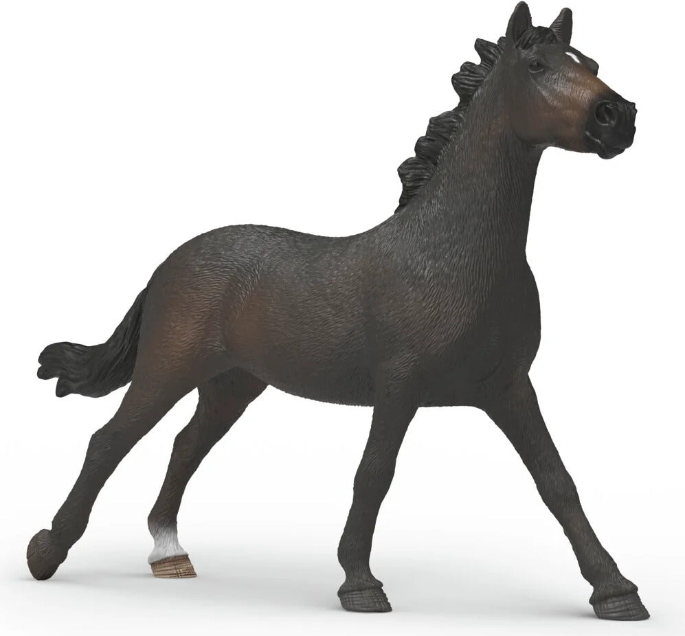 English Throrougbred Mare
