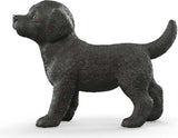 Black Labrador Retriever Puppy