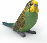 Budgie