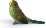 Budgie