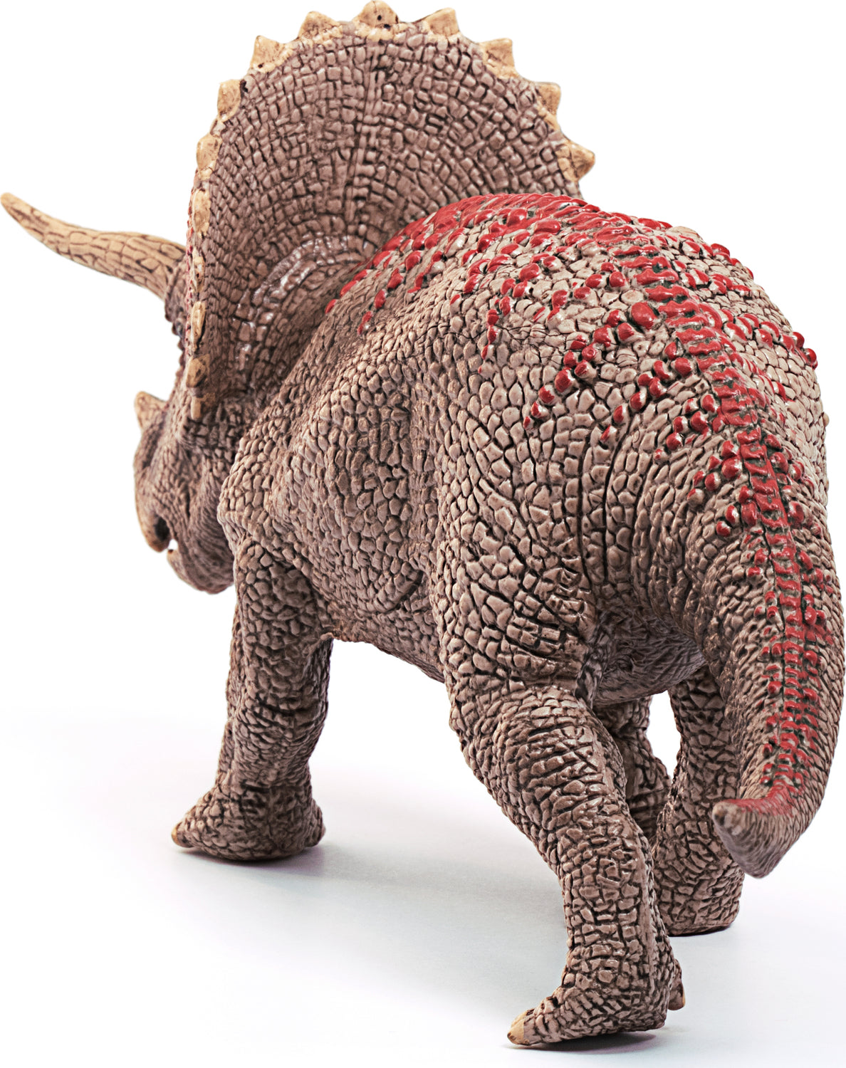 Triceratops