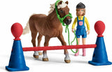 Pony Agility Training