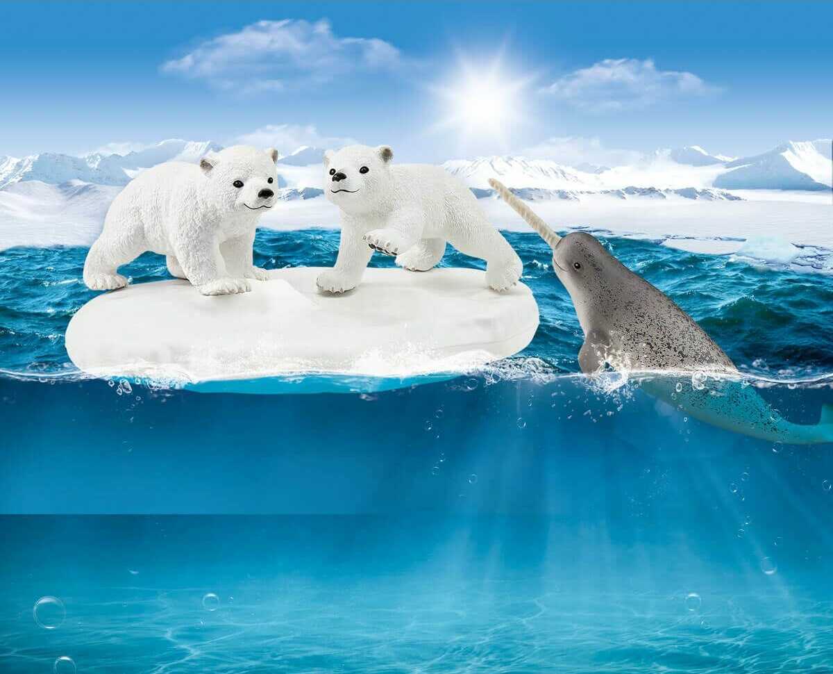 Polar Playground