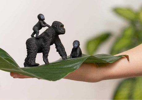 Gorilla Family