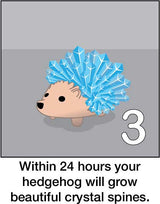 Crystal Hedgehog