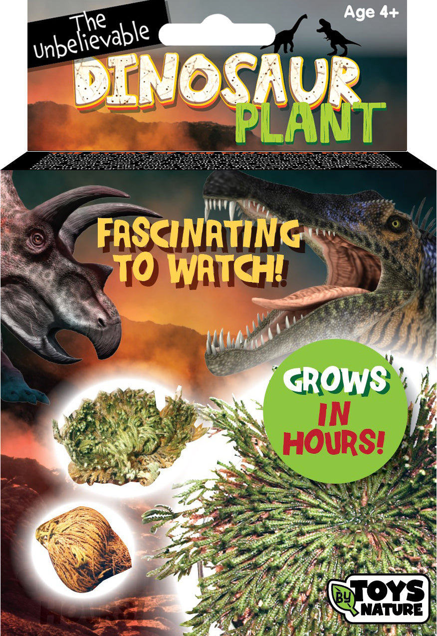 Dinosaur Plant (Boxed)