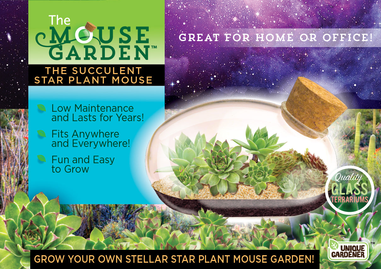 The Succulent Star Mouse