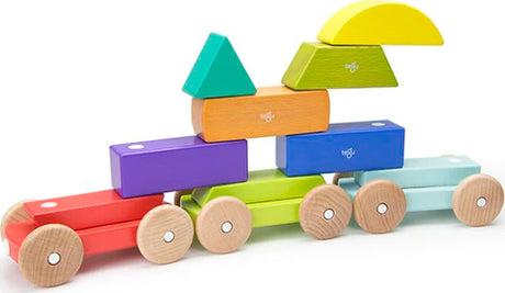 Magnetic Shape Train