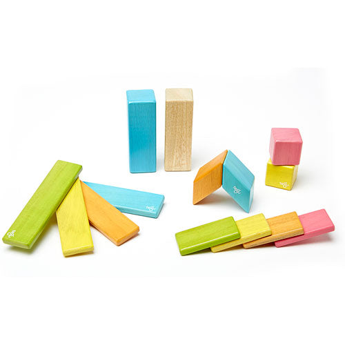 Tegu 14 Piece Set Tints