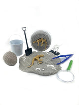 Dinosaur Fossil Dig Sensory Dough Play Kit