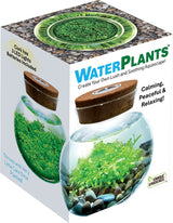WaterPlants - Create Your Own Aquascape