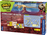 Giant Dinosaur Skeleton Kit