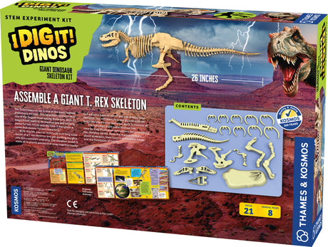 Giant Dinosaur Skeleton Kit