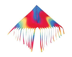 Wavy Gradient Fun Flyer Kite